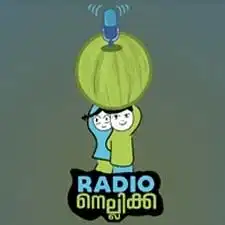 Radio Nellika